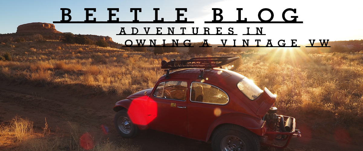 Beetle Blog