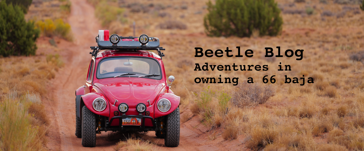 Beetle Blog
